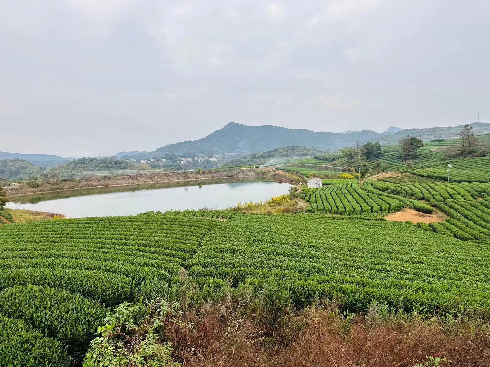 微信图片_20231026105905