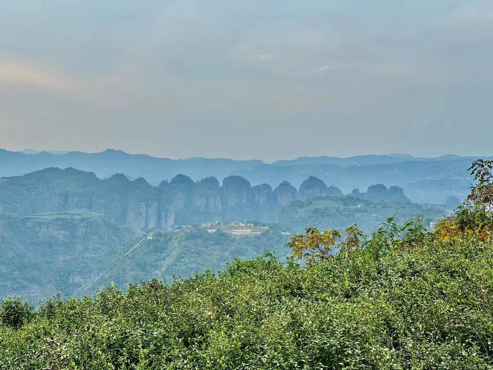 微信图片_202310261059411