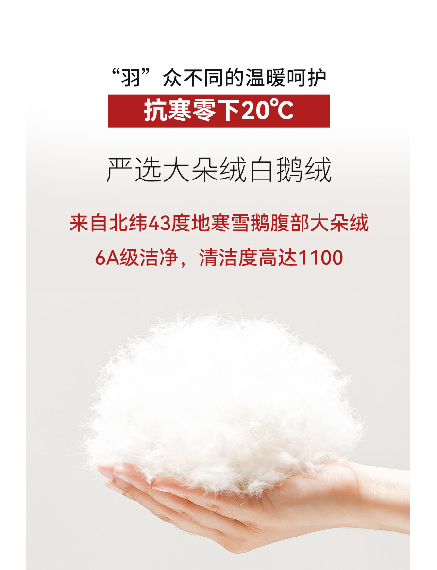 专业时尚休闲-公众号_05