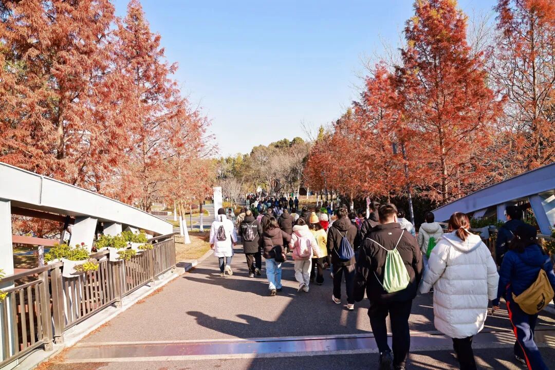 昆山市迎新健步登高 (12)