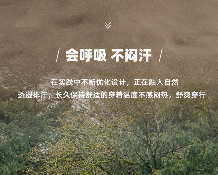 912239、812240上半部分_04