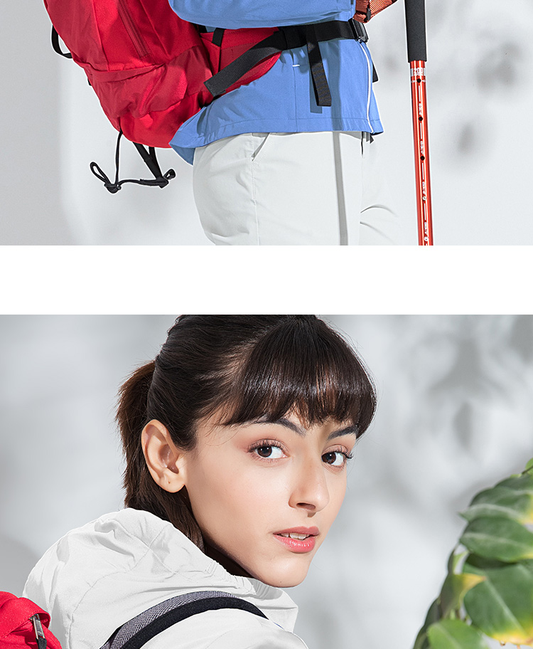 912239-812240-详情 (11)