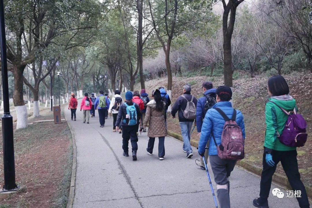白象湾——花山——天池山——白马涧——白象湾
