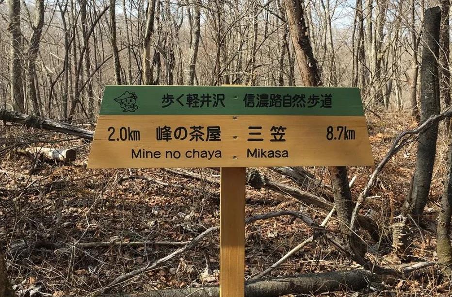 四月日本行（二）走进轻井泽 | 开启一场心灵治愈之旅，在大自然中与自己对话！